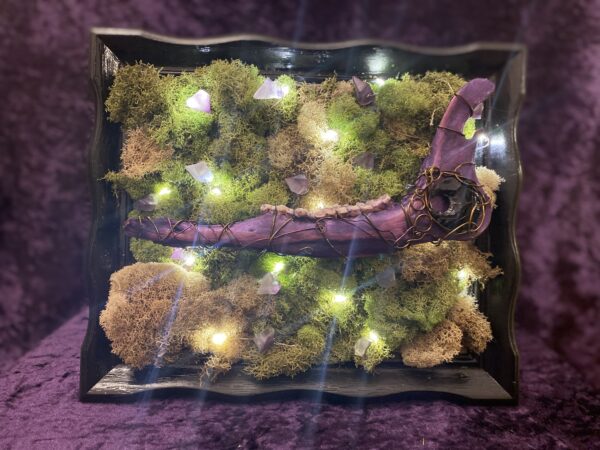 Forest Mystic - Image 4