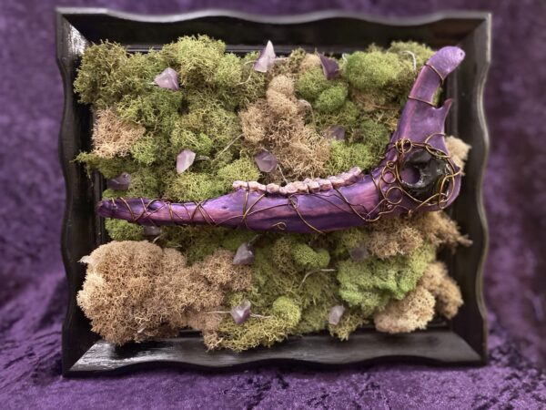 Forest Mystic
